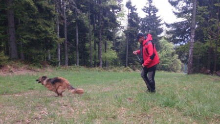 Usposabljanje vodnikov in reševalnih psov GRZS - Pohorje 2013